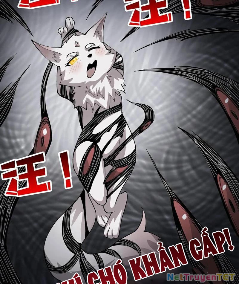 Chuyển Nghề Vô Hạn: Ta Có Thể Triệu Hồi Nữ Thần Max Cấp Chapter 21 - 17