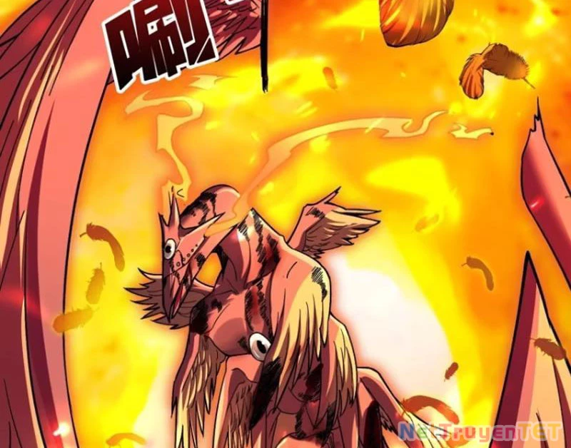 Chuyển Nghề Vô Hạn: Ta Có Thể Triệu Hồi Nữ Thần Max Cấp Chapter 33 - 67