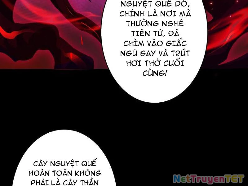 Chuyển Nghề Vô Hạn: Ta Có Thể Triệu Hồi Nữ Thần Max Cấp Chapter 40 - 14