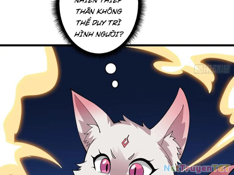 Chuyển Nghề Vô Hạn: Ta Có Thể Triệu Hồi Nữ Thần Max Cấp Chapter 41 - 68