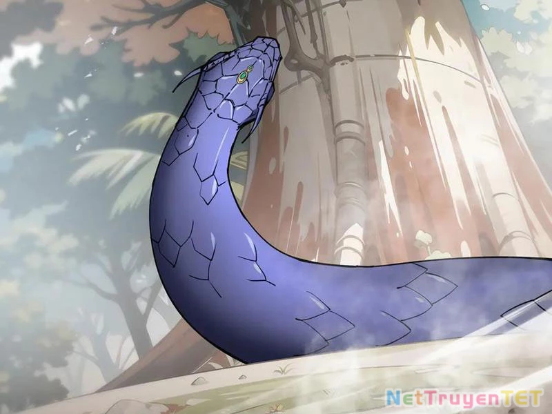 Ta Ký Kết Khế Ước Với Chính Mình Chapter 80 - 51