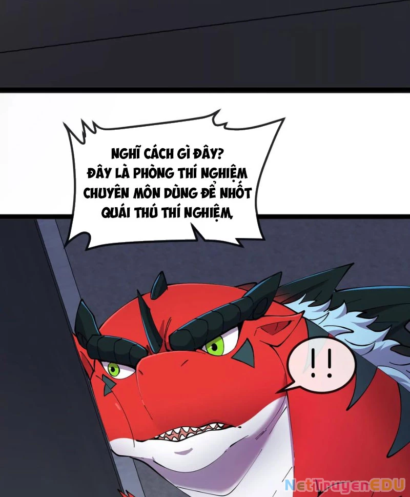 Ta Là Quái Thú Đại Chúa Tể Chapter 55 - 19