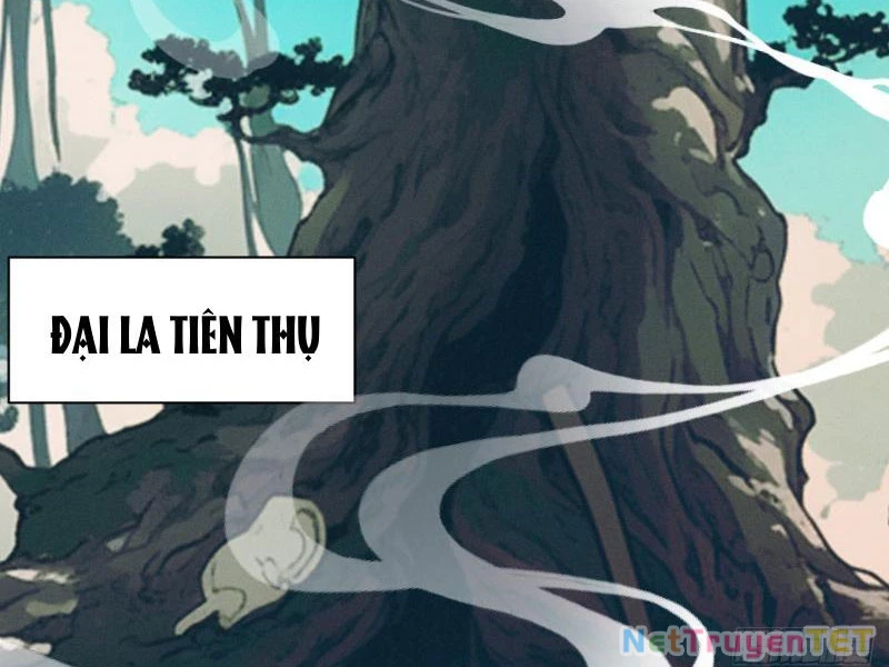 Gặp Mạnh Thì Mạnh, Ta Tu Vi Vô Thượng Hạn Chapter 17 - 4