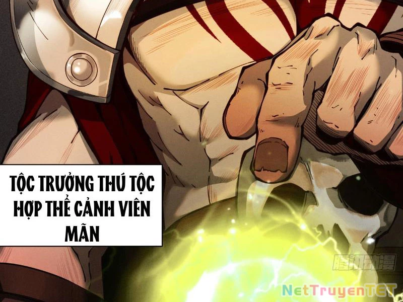 Gặp Mạnh Thì Mạnh, Ta Tu Vi Vô Thượng Hạn Chapter 17 - 16