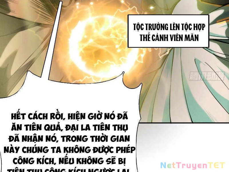 Gặp Mạnh Thì Mạnh, Ta Tu Vi Vô Thượng Hạn Chapter 17 - 25