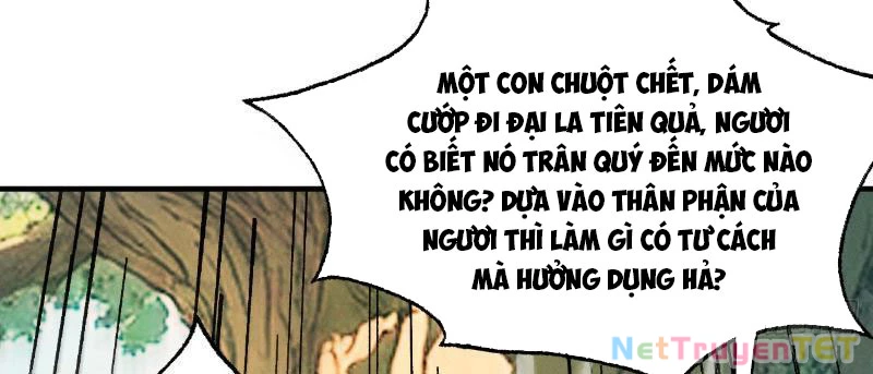 Gặp Mạnh Thì Mạnh, Ta Tu Vi Vô Thượng Hạn Chapter 17 - 91