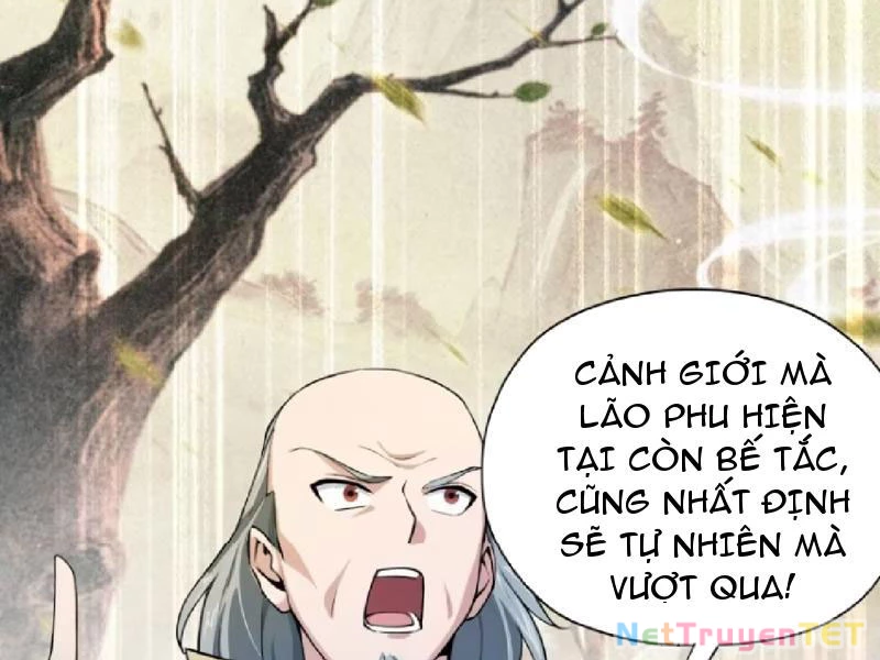 Hoá Ra Ta Đã Vô Địch Từ Lâu Chapter 251 - 66