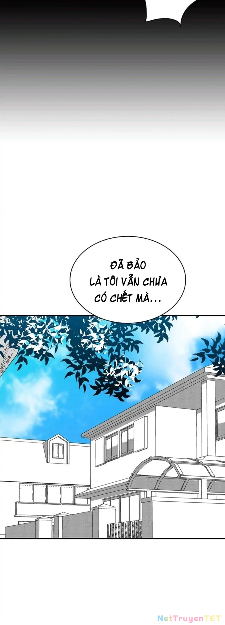 Mèo con của skelly Chapter 11 - 46