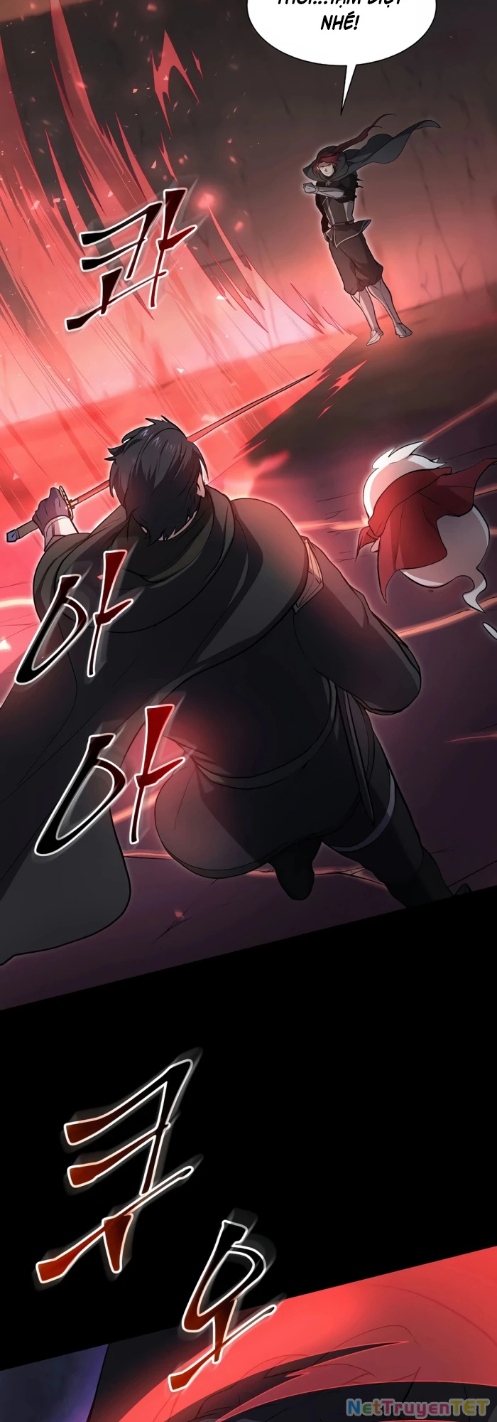 Tôi Thăng Cấp Bằng Kĩ Năng Chapter 91 - 13