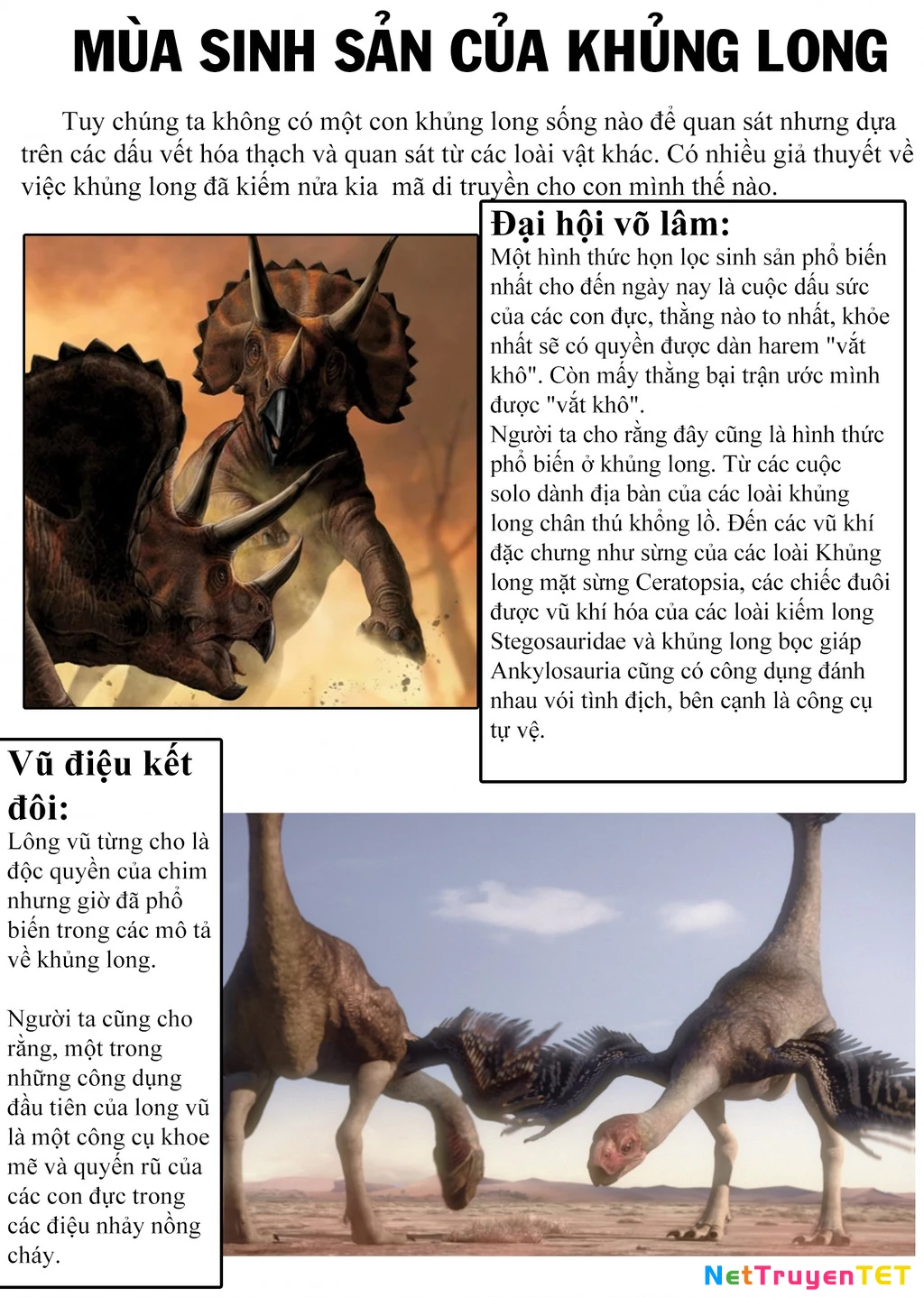 Khu bảo tồn khủng long Chapter 10 - 33