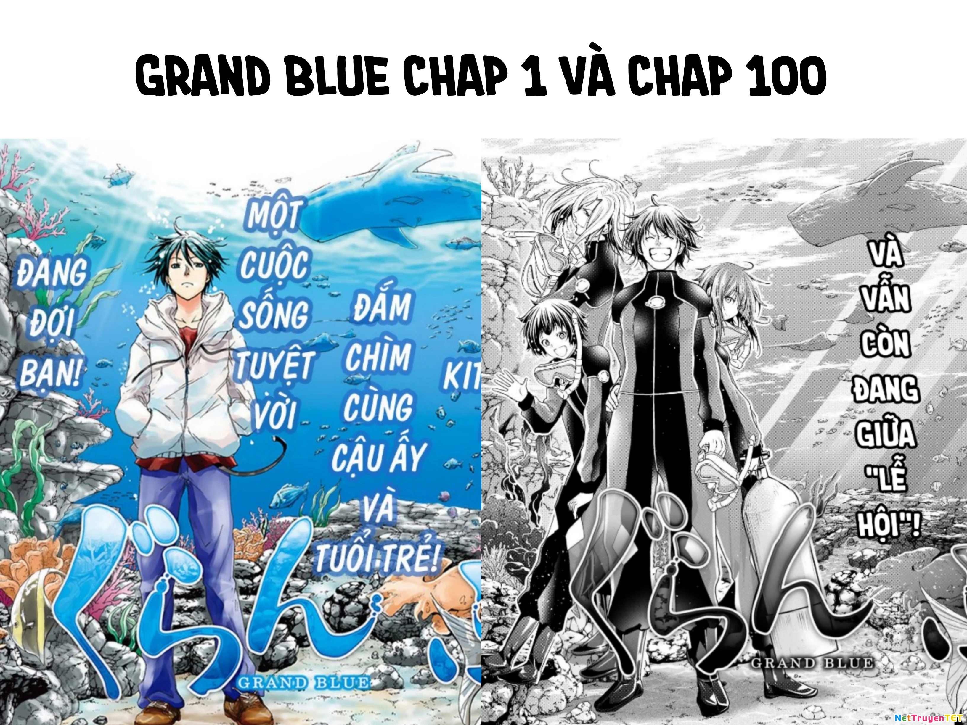 Grand Blue - Cô Gái Thích Lặn Chapter 100 - 38