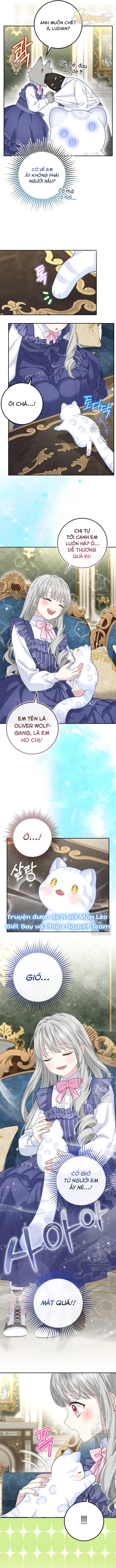 Tiểu Thư Báo Tuyết Của Gia Tộc Báo Đen Chapter 22 - Trang 2