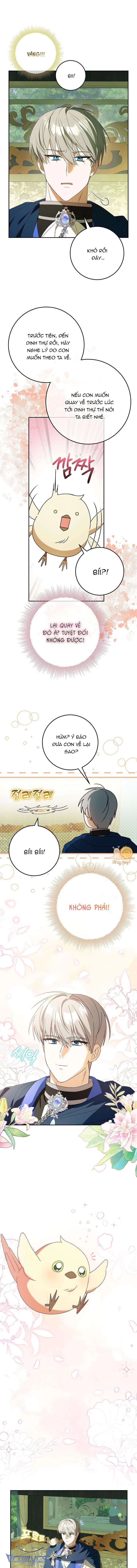 Nàng Chim Được Dinh Thự Sói Yêu Thương Chapter 5 - Trang 2