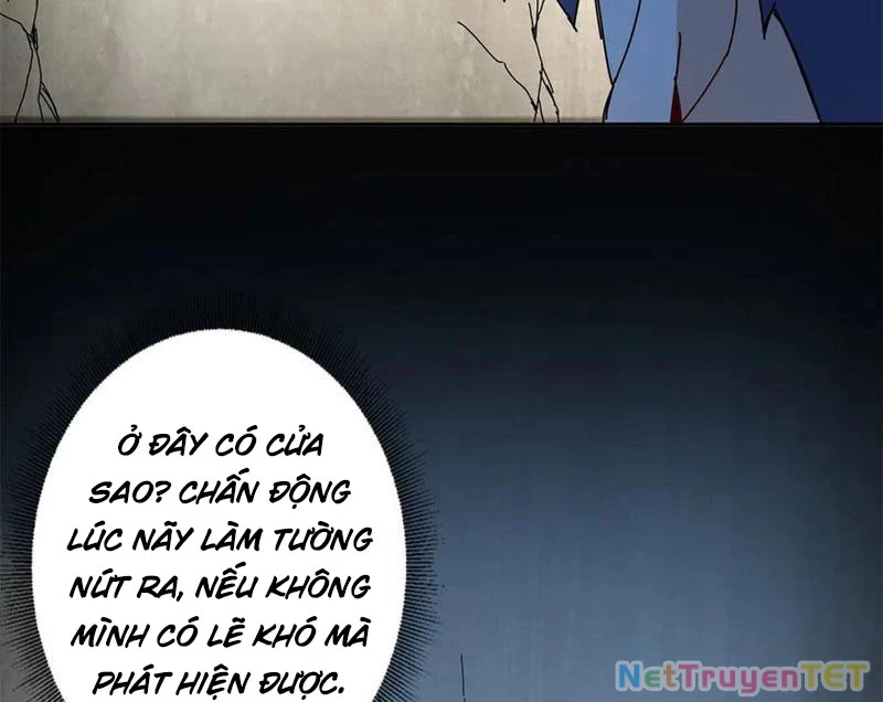 Sau Khi Sống Lại Ở Mạt Thế, Ta Điên Cuồng Thăng Cấp Chapter 34 - 93