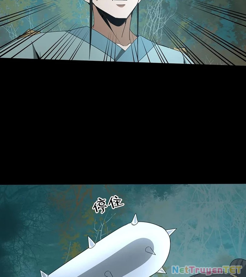 Ngày Tôi Sinh Ra, Bách Quỷ Dạ Hành, Tuyết Thi Hộ Đạo Chapter 564 - 20