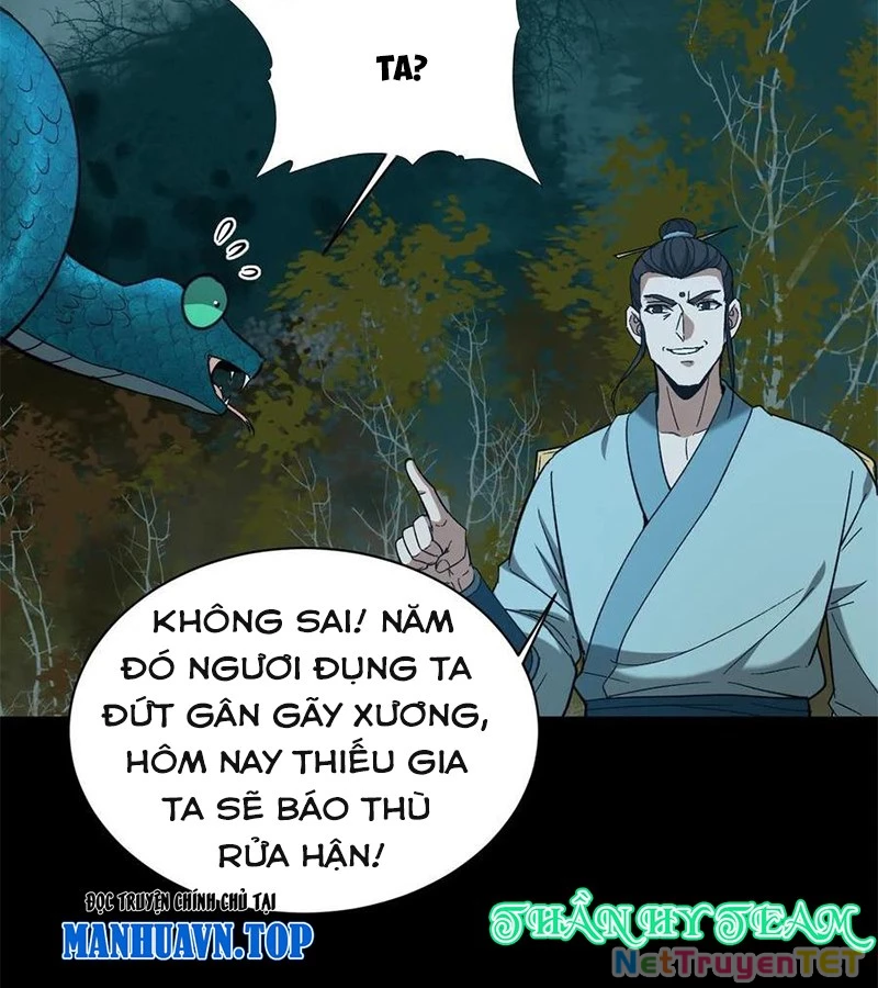 Ngày Tôi Sinh Ra, Bách Quỷ Dạ Hành, Tuyết Thi Hộ Đạo Chapter 565 - 17