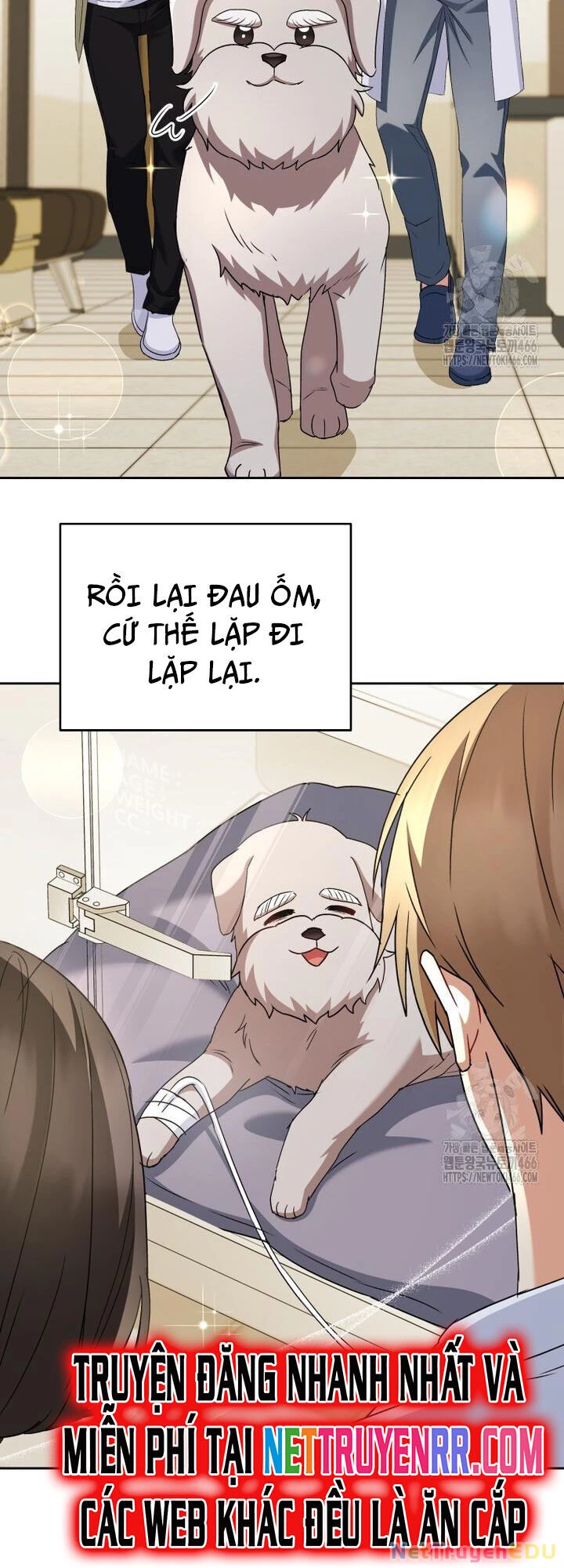 Xin Chào! Bác Sĩ Thú Y Chapter 72 - 45