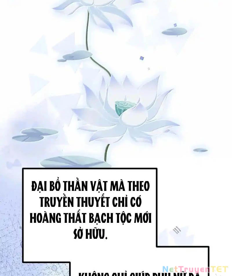 Phá thân của nữ Hoàng Đế Chapter 32 - Trang 2