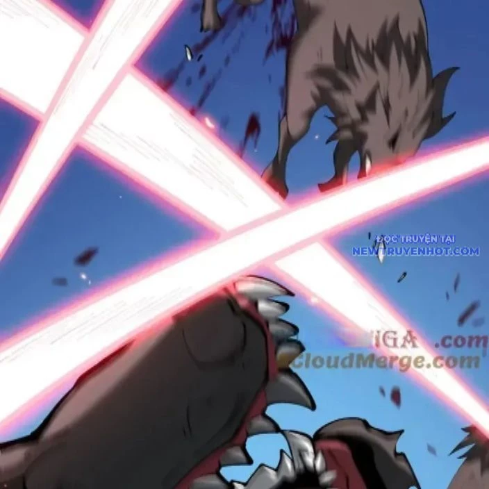 Cái Bóng Phản Bội Của Gia Tộc Chapter 47 - 55