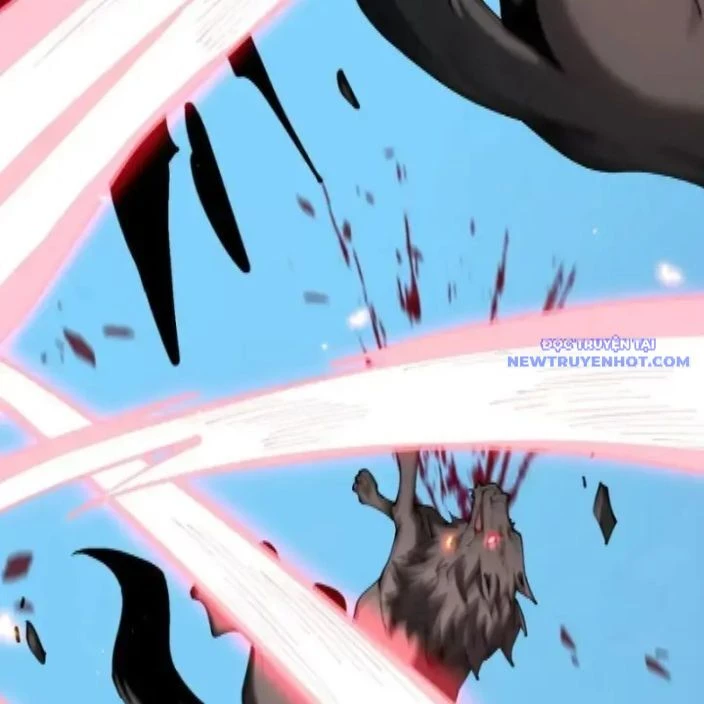 Cái Bóng Phản Bội Của Gia Tộc Chapter 47 - 57