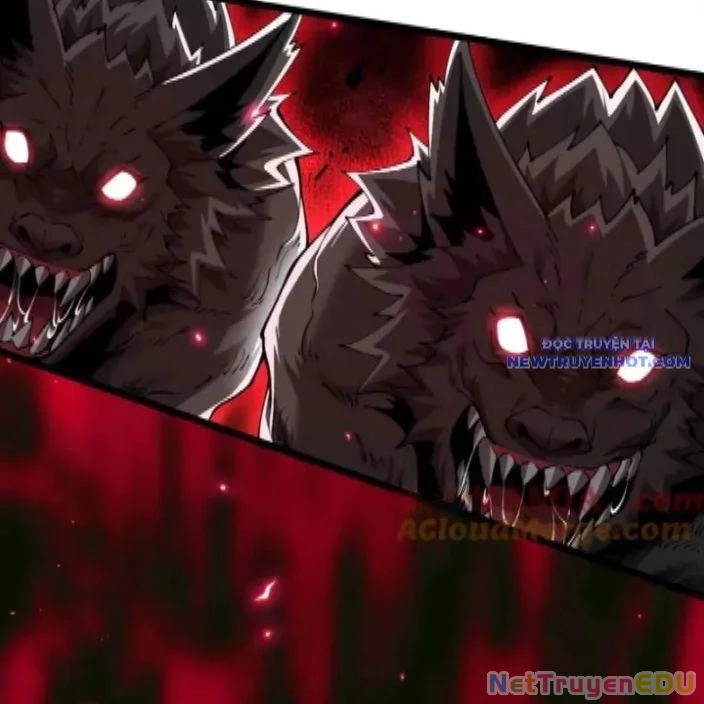 Cái Bóng Phản Bội Của Gia Tộc Chapter 47 - 67