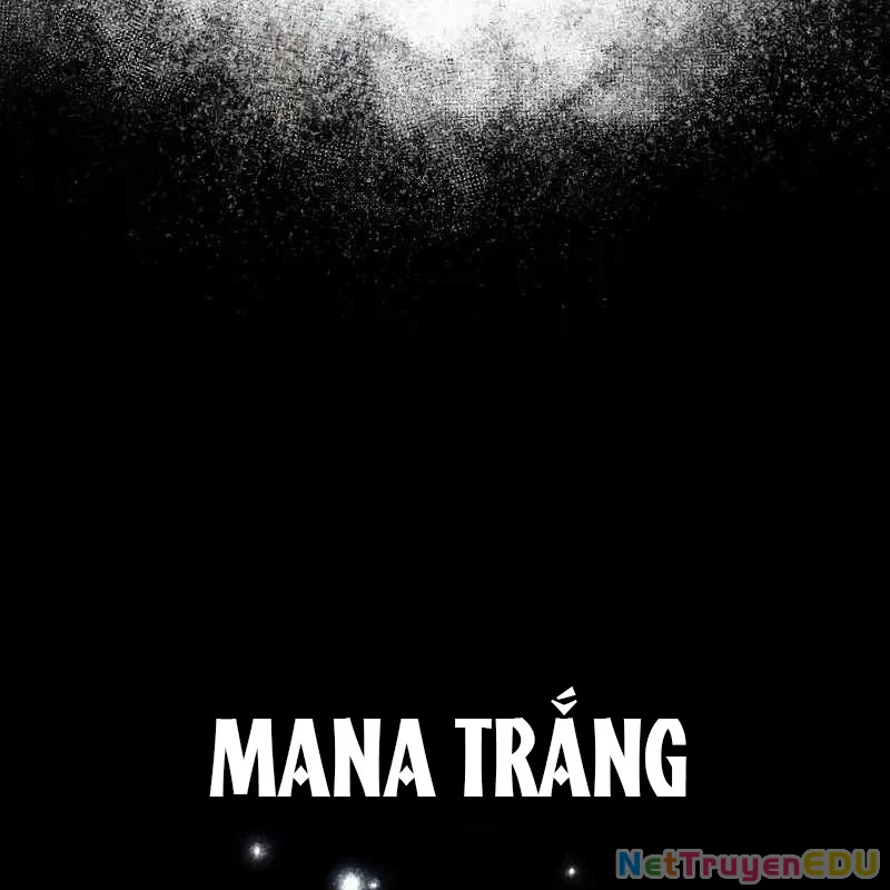Đa Sắc Ma Pháp Sư Thiên Tài Chapter 15 - 117