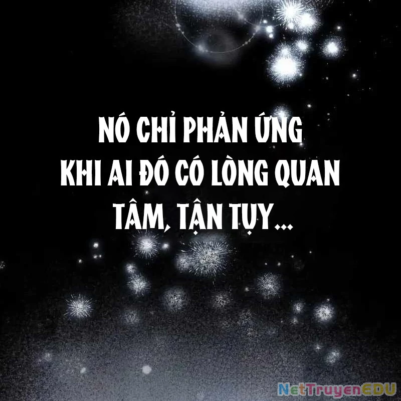 Đa Sắc Ma Pháp Sư Thiên Tài Chapter 15 - 119