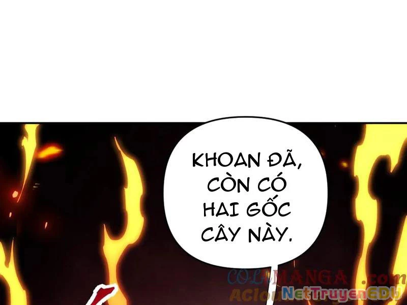 Bắt Đầu Chấn Kinh Nữ Đế Lão Bà, Ta Vô Địch! Chapter 63 - 129