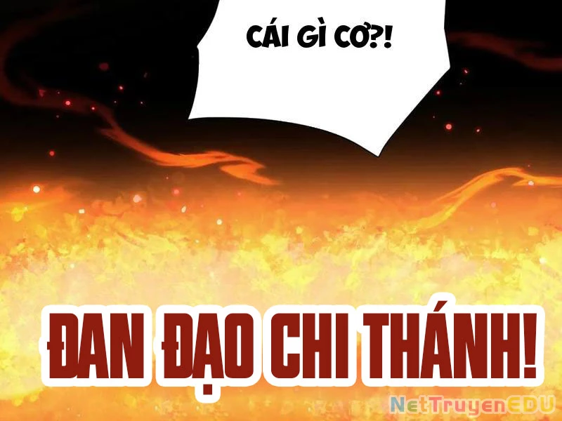 Bắt Đầu Chấn Kinh Nữ Đế Lão Bà, Ta Vô Địch! Chapter 63 - 158