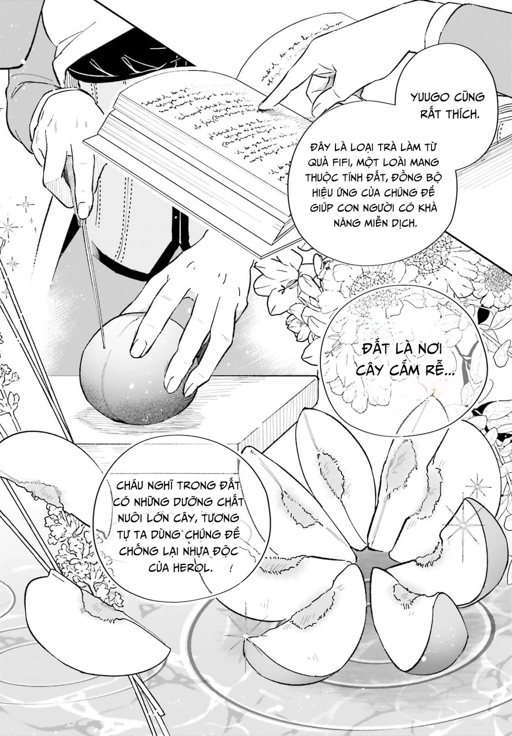 Cuộc sống thưởng trà của Amalia, nàng phù thủy bị lãng quên Chapter 7 - 7