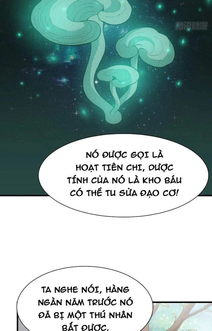 Ta Chỉ Muốn Bị Các Vị Đánh Chết Chapter 107 - 31