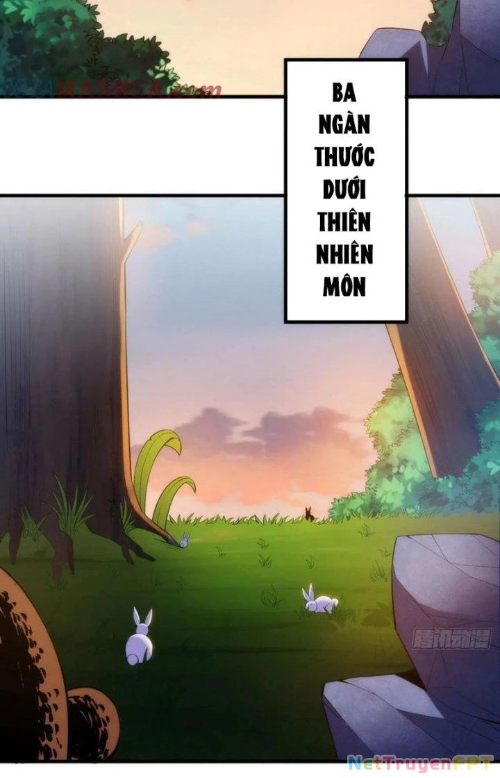 Ta Chỉ Muốn Bị Các Vị Đánh Chết Chapter 107 - 57