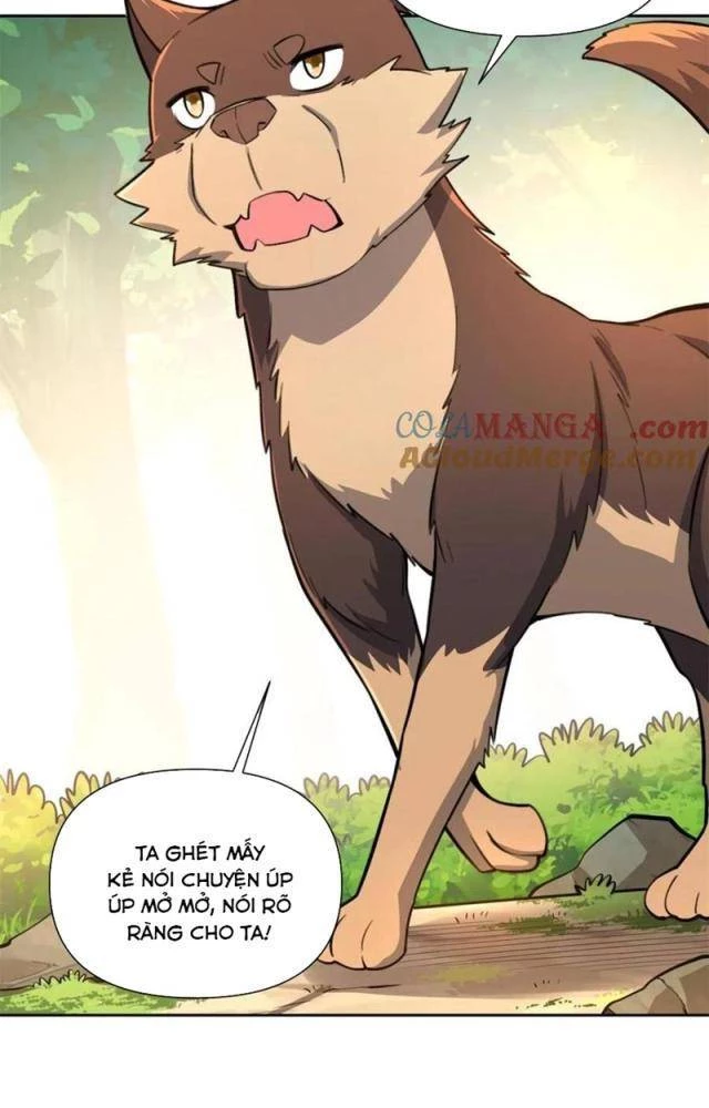 Nguyên Lai Ta Là Tu Tiên Đại Lão Chapter 532 - 67