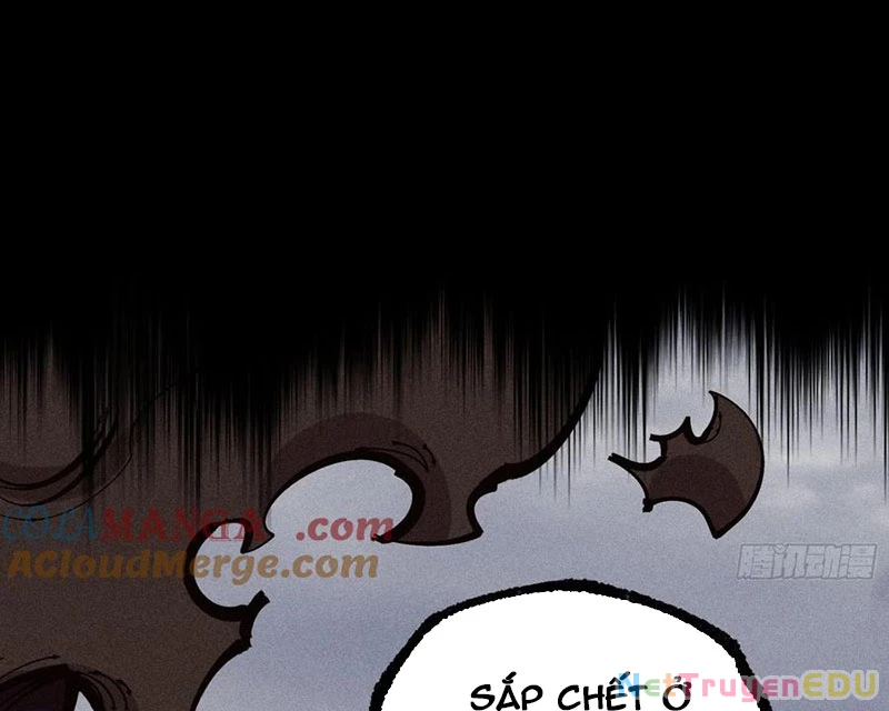 Ta Làm Súc Vật Ở Tu Tiên Giới Chapter 34 - Trang 2