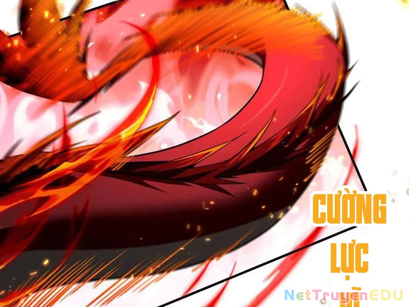 Linh Khí Khôi Phục: Từ Cá Chép Tiến Hóa Thành Thần Long Chapter 44 - 96