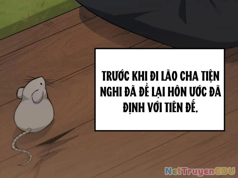 Phụng Chỉ Xuất Quỹ Chapter 1 - Trang 2