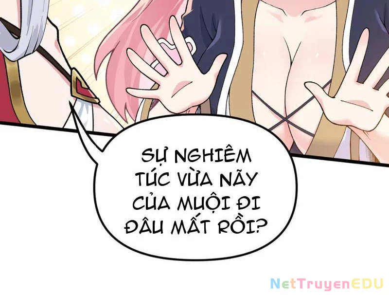 Phụng Chỉ Xuất Quỹ Chapter 2 - Trang 2