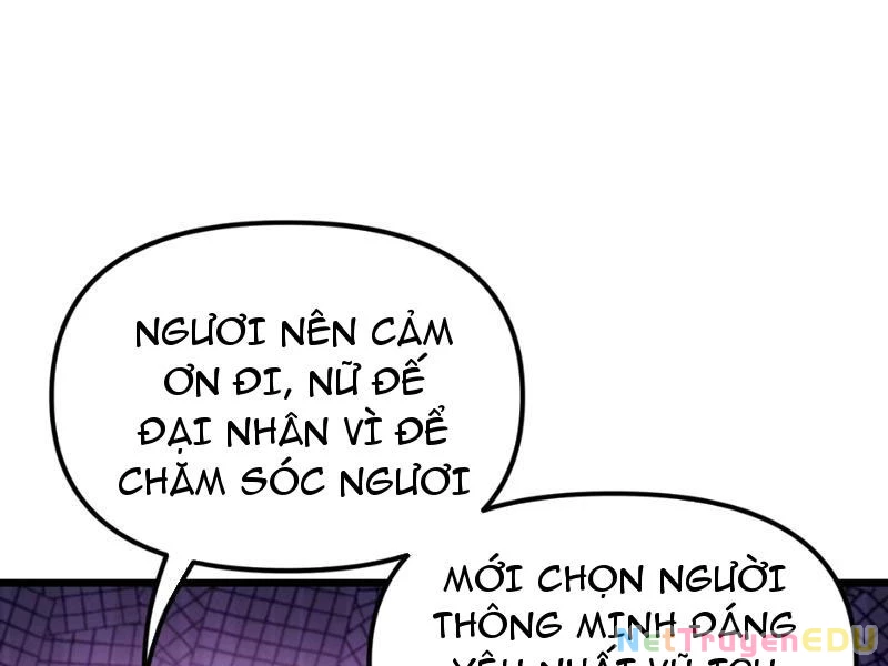 Phụng Chỉ Xuất Quỹ Chapter 2 - Trang 2