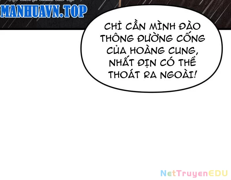 Phụng Chỉ Xuất Quỹ Chapter 4 - Trang 2