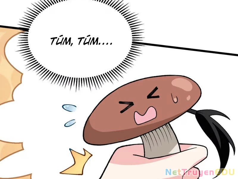 Phụng Chỉ Xuất Quỹ Chapter 4 - Trang 2