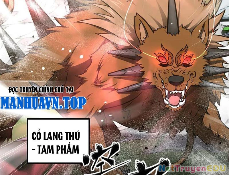 Toàn Cầu Cao Võ Chapter 298 - 23