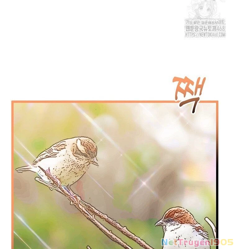 Nhà Soạn Nhạc Thiên Tài Đã Trở Lại Chapter 53 - 62