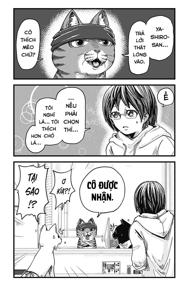 Red Cat Ramen Chapter 1 - 11