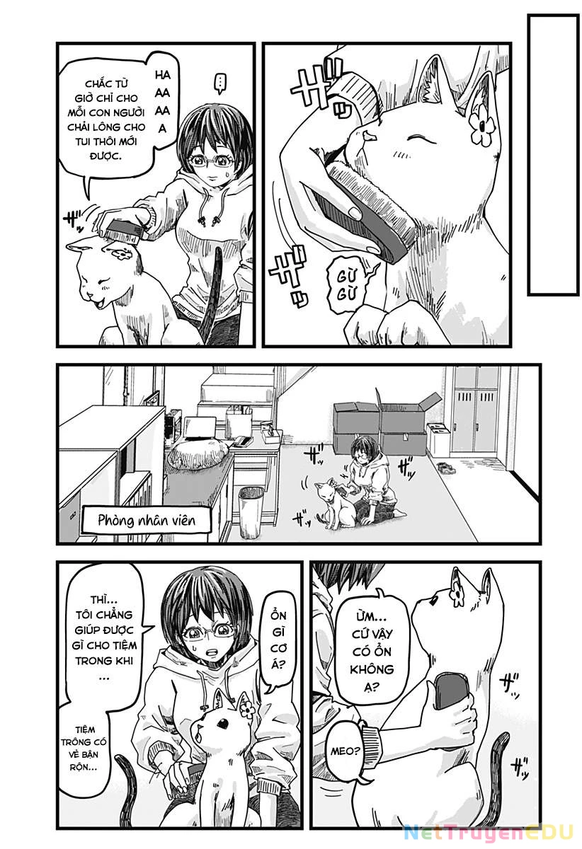 Red Cat Ramen Chapter 1 - 12