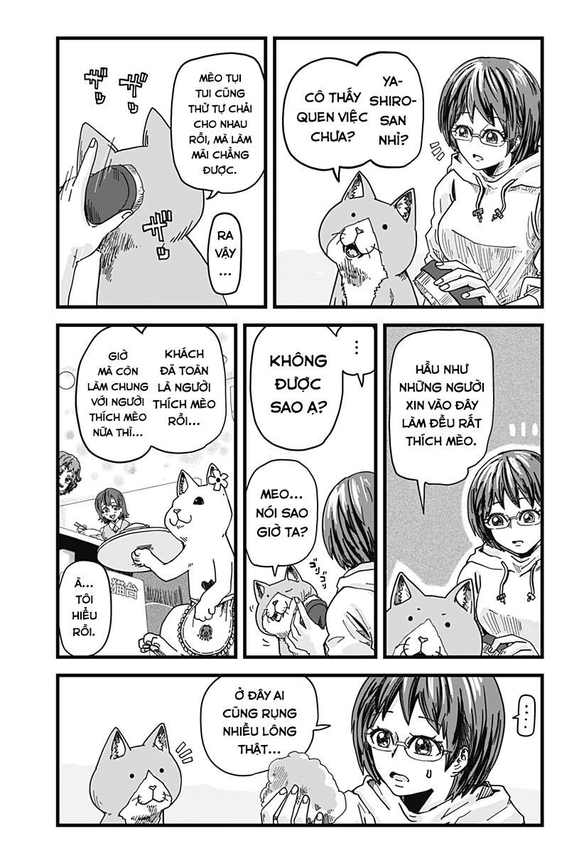Red Cat Ramen Chapter 1 - 16