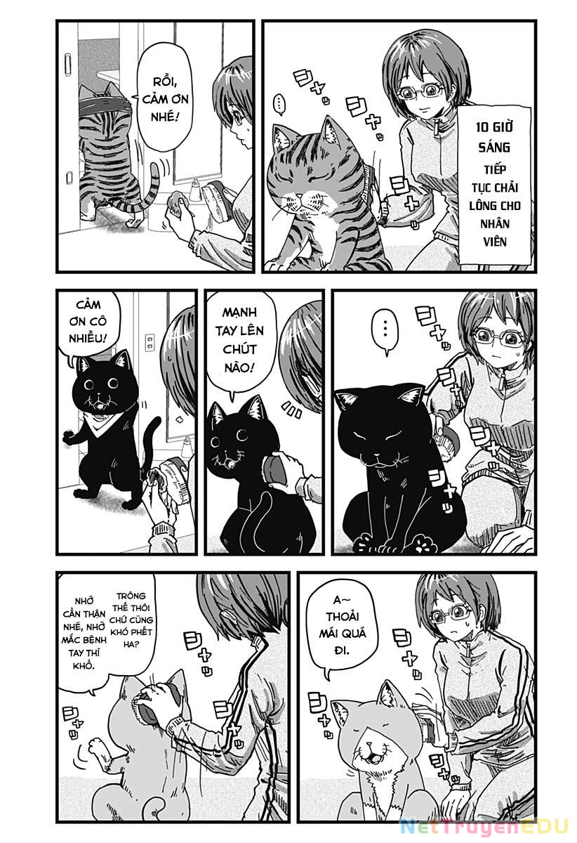 Red Cat Ramen Chapter 2 - 6