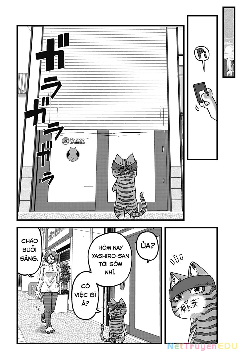 Red Cat Ramen Chapter 6 - 4