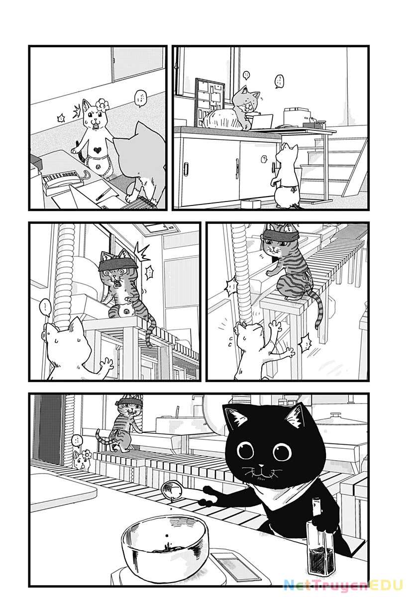 Red Cat Ramen Chapter 11 - 14
