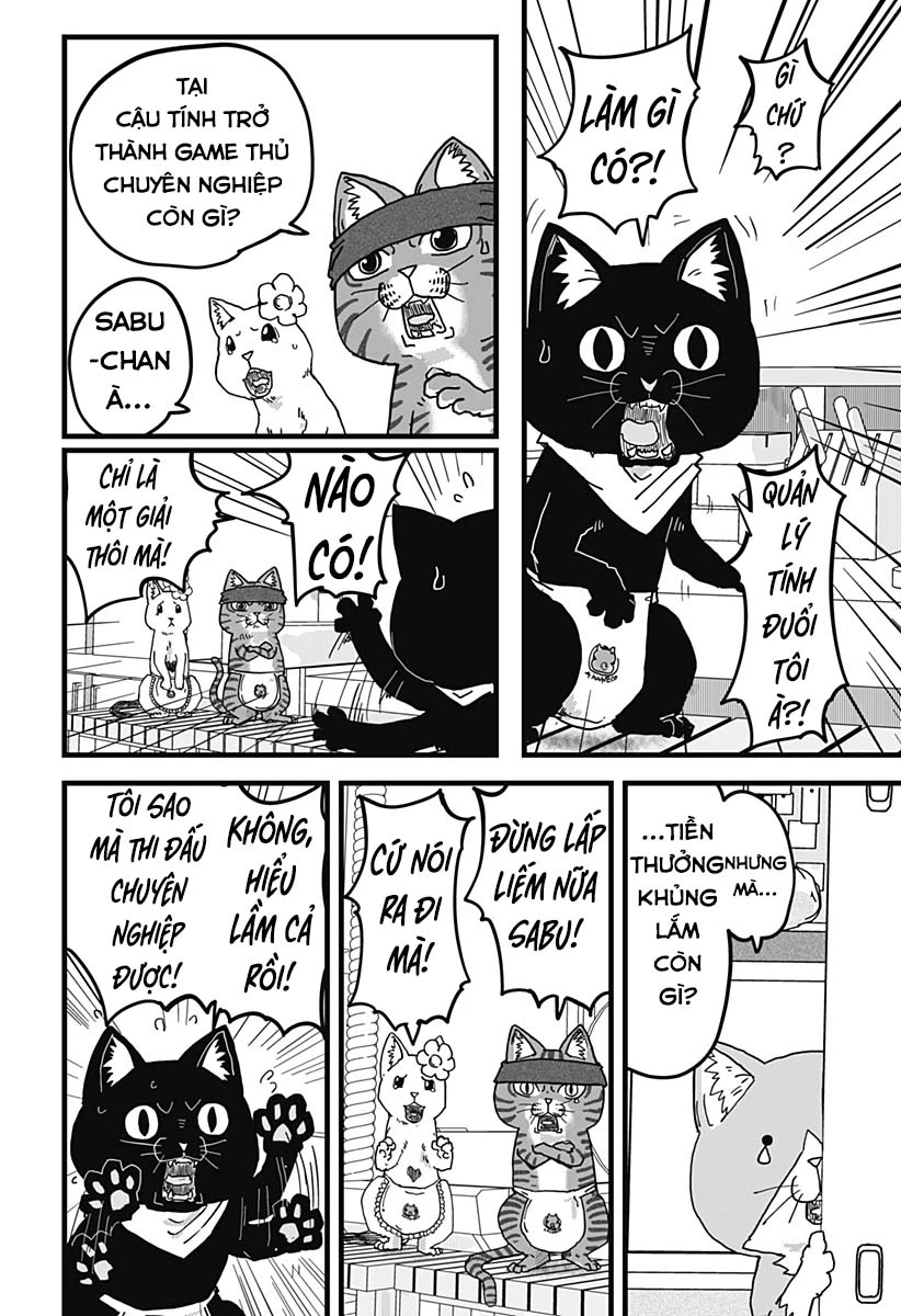 Red Cat Ramen Chapter 11 - 16