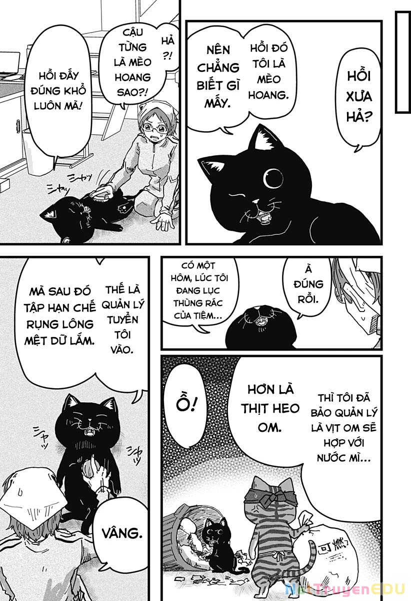 Red Cat Ramen Chapter 12 - 12